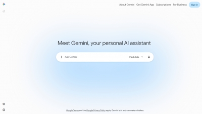 Google Gemini Screenshot